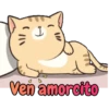 GATITOS - KITTENS 24