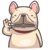 Dog 8