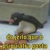 GIFS PINGU 12