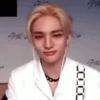 Kpop animado 11