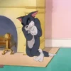 Boomerang Toons~Gifs✔️ 9