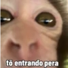 🐒 Macaco | Deboche Sincerão 5