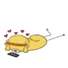 Patos 6 30