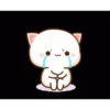 Mochi cat 17