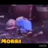 BORA 23