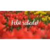 Feliz SÁBADO❤️‍🔥 15