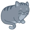 Gatitos🐈 11