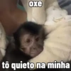 🐒 Macaco | Deboche Sincerão 12