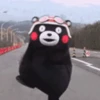 💫 Oso kumamon cute ❣️ 19