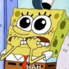 🧽 BOB ESPONJA 🧽 9