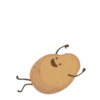 Potato 26