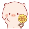 Babi lucu 6