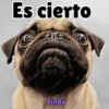 Axy Linda San-Fre 2026 (7) 9