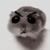 ❦̷ ⃝⃔❤⃪ᭂƘ⃪Cɦeᥲ𝛛ᥲ᬴᭄⃕͜
Hamster 18