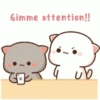 Mochi cat 11