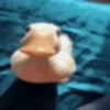 Random Pato🦆 7