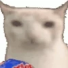 Gif random para el chat 9