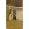 Ahhh 11