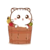 GATITOS - KITTENS 9