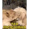 Caras 36