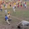 Amor de Corraleja 🇨🇴❤️‍🔥🐂 26