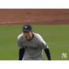New York Yankees 2024 29
