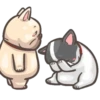 Dog 29