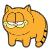 Garfield  8