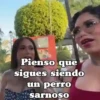 Pienso que sigues siendo un perro sarnoso