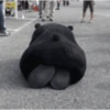 💫 Oso kumamon cute ❣️ 25