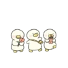 Patos 6 12
