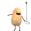 Potato 6