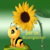 Buongiorno  5