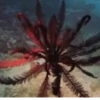 Peces marinos 23