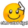 cómo usted diga!