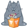Gatitos🐈 8