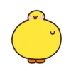 Patos 6 8
