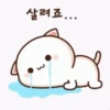 Mochi cat 20