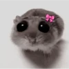 ❦̷ ⃝⃔❤⃪ᭂƘ⃪Cɦeᥲ𝛛ᥲ᬴᭄⃕͜
Hamster 5
