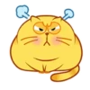 Egg Yolk Cat 2 15