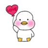 Patos 6 28