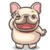 Dog 22