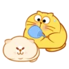 Egg Yolk Cat 2 29