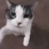 Jhhhh 16
