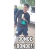Perros 5