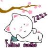 GATITOS - KITTENS 23