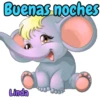 Axy Linda 5 21