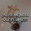 😜A lo RANDOM!/GiFs🔥 6