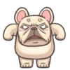 Dog 11