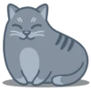 Gatitos🐈 7